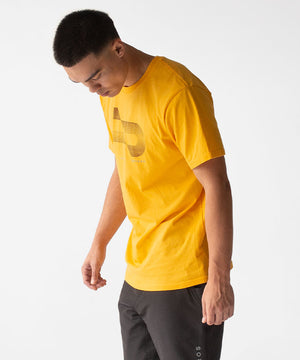 Color:Gold