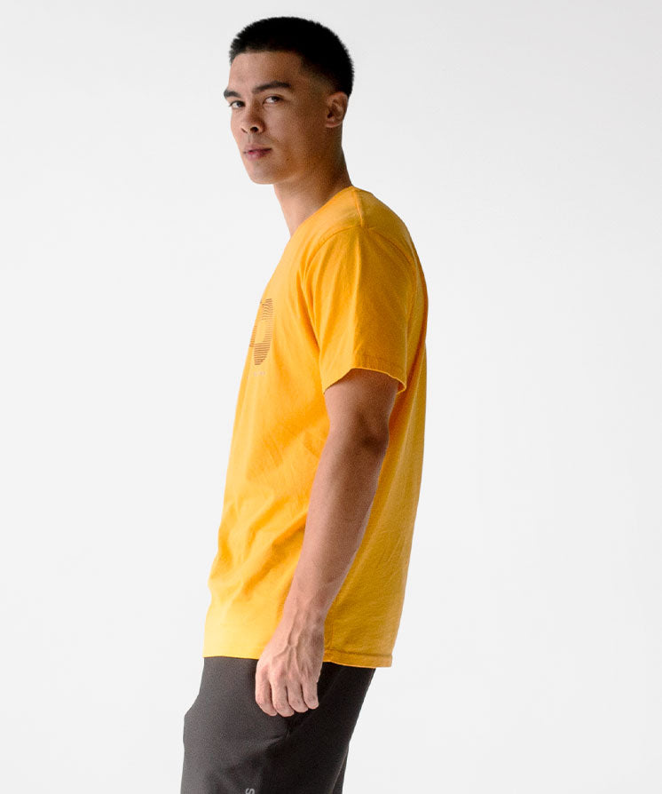Color:Gold