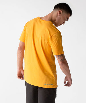 Color:Gold